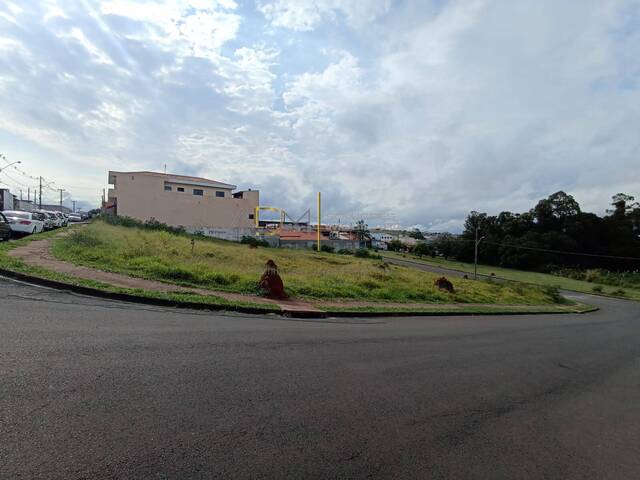 Área para Venda em Botucatu - 4