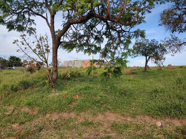 Terreno para Venda em Botucatu - 5