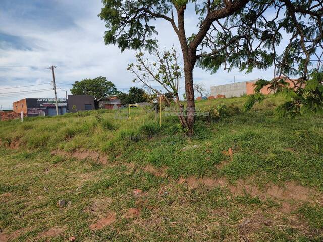 Terreno para Venda em Botucatu - 4