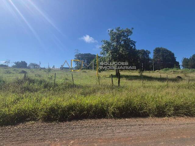 #TE01269 - Área para Venda em Botucatu - SP - 1