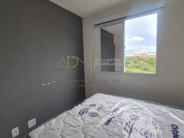 Apartamento para Locação em Botucatu - 5
